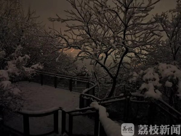 2019南京的第一场雪 在紫金山顶留下“礼物”