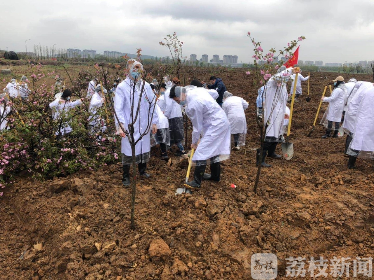 种下■种下白衣天使林，纪念这个如期而至的春天！