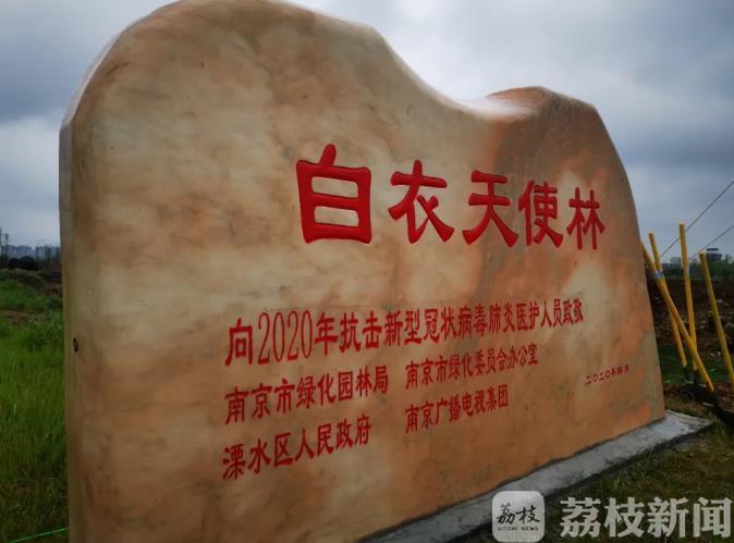 种下■种下白衣天使林，纪念这个如期而至的春天！