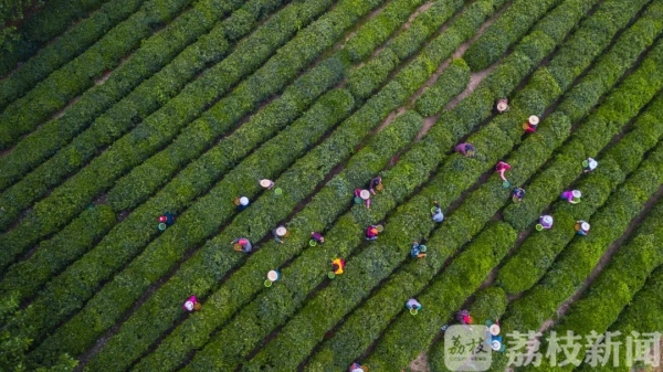 美丽六合旅游直通车今日首发！