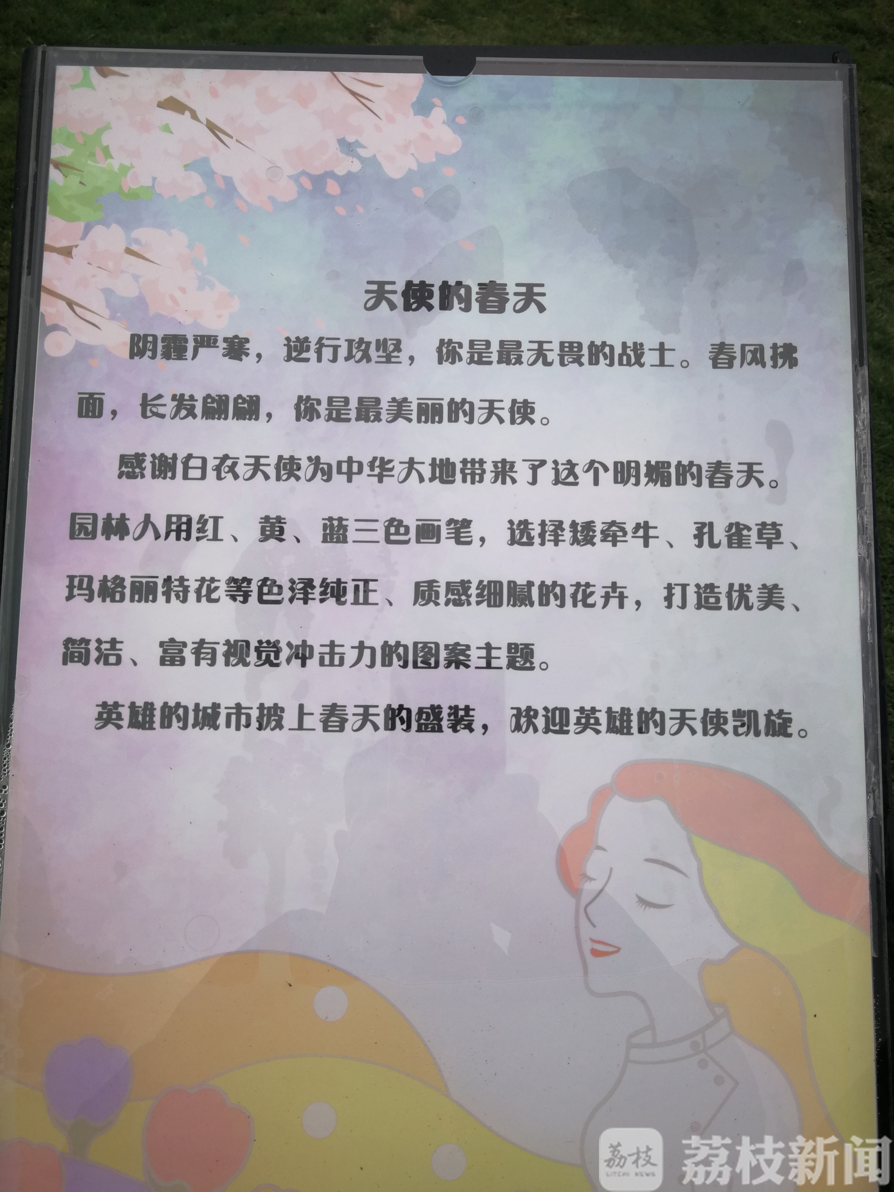 花坛■南京园林人打造“天使的春天”主题花坛向白衣天使致敬