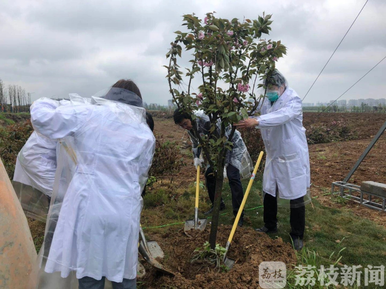 种下■种下白衣天使林，纪念这个如期而至的春天！