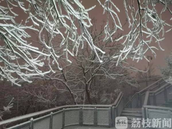 2019南京的第一场雪 在紫金山顶留下“礼物”