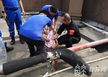 马蜂■夏季“蜂”狂!马蜂横行成隐患,警民携手共“捣蜂”