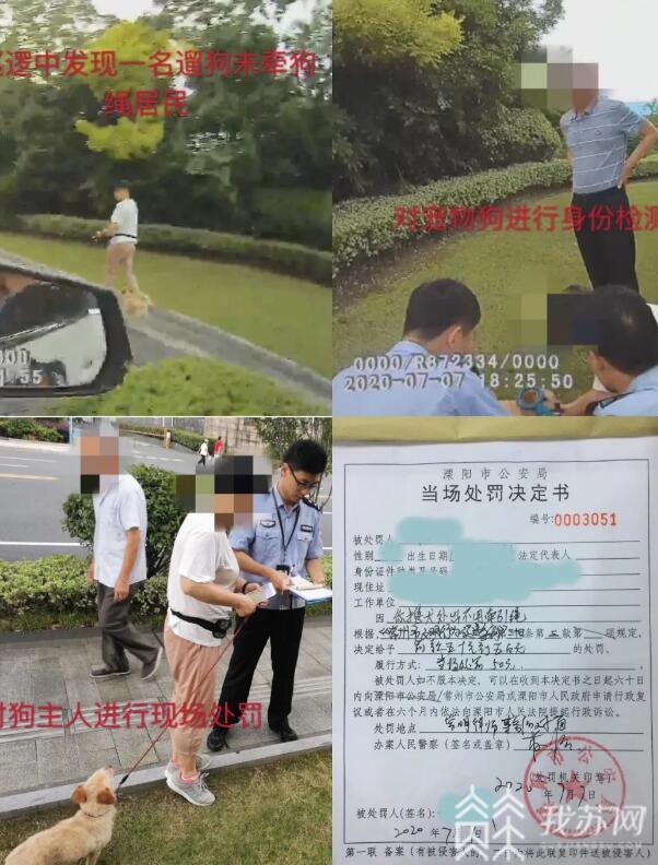 「遛狗」常州溧阳警方开出首张罚单 遛狗不牵绳