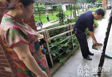 马蜂■夏季“蜂”狂!马蜂横行成隐患,警民携手共“捣蜂”