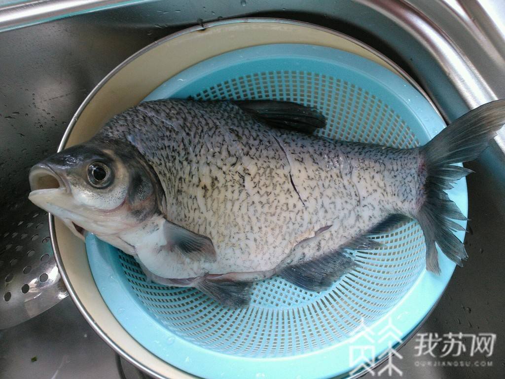 #食品# 涉及水产制品、饮料等 省市场监管局发布不合格食品抽查通告