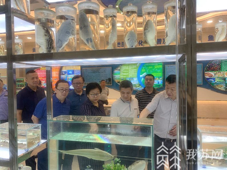 长江■市场监管总局执法稽查局暗访调研江苏长江禁渔工作