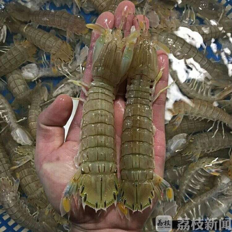 『不合格』皮皮虾、薯片、霹雳大虾饼......这些你买过没 又一批产品不合格
