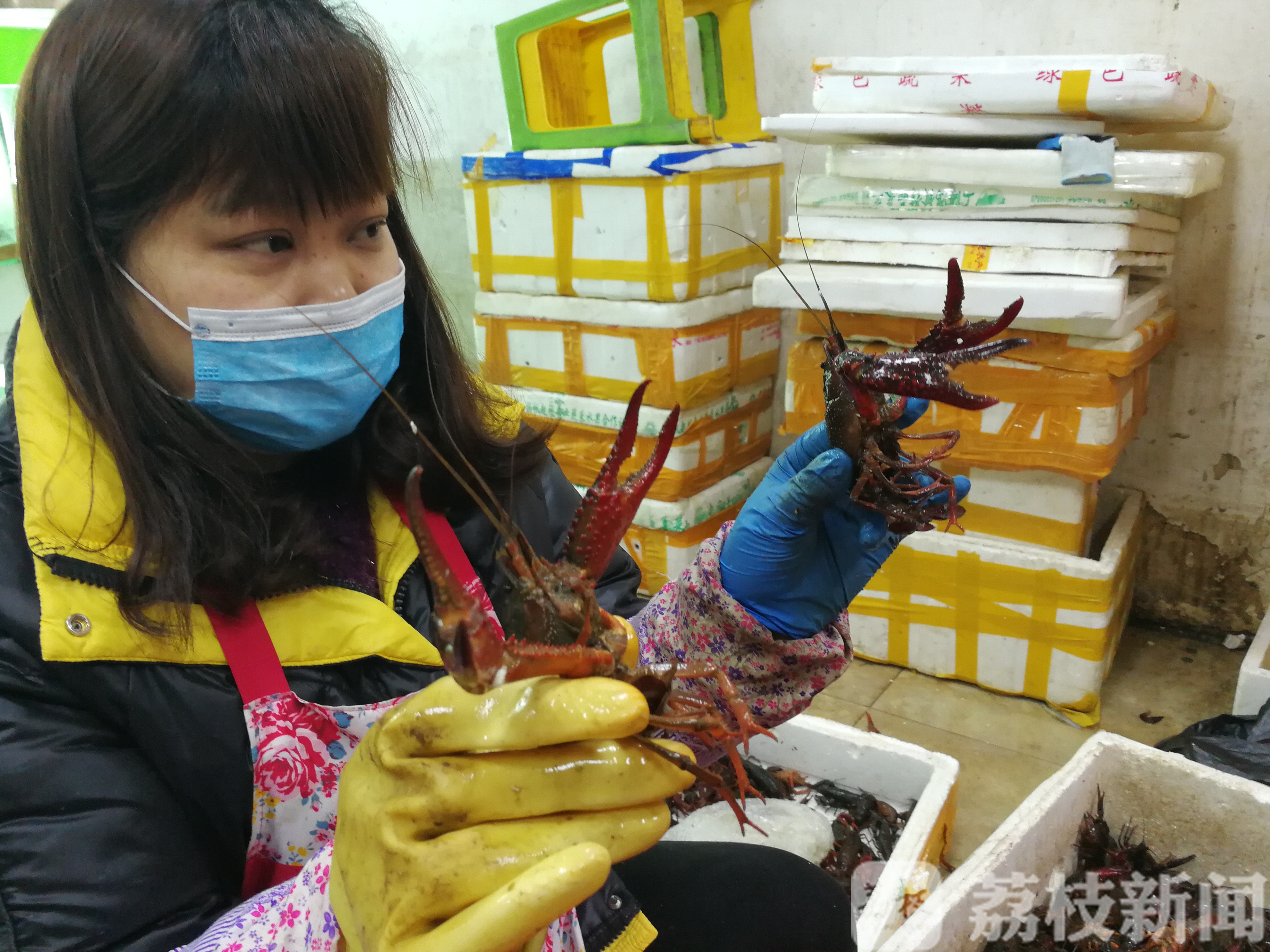 『』 催热了餐饮市场 小龙虾开始大量上市