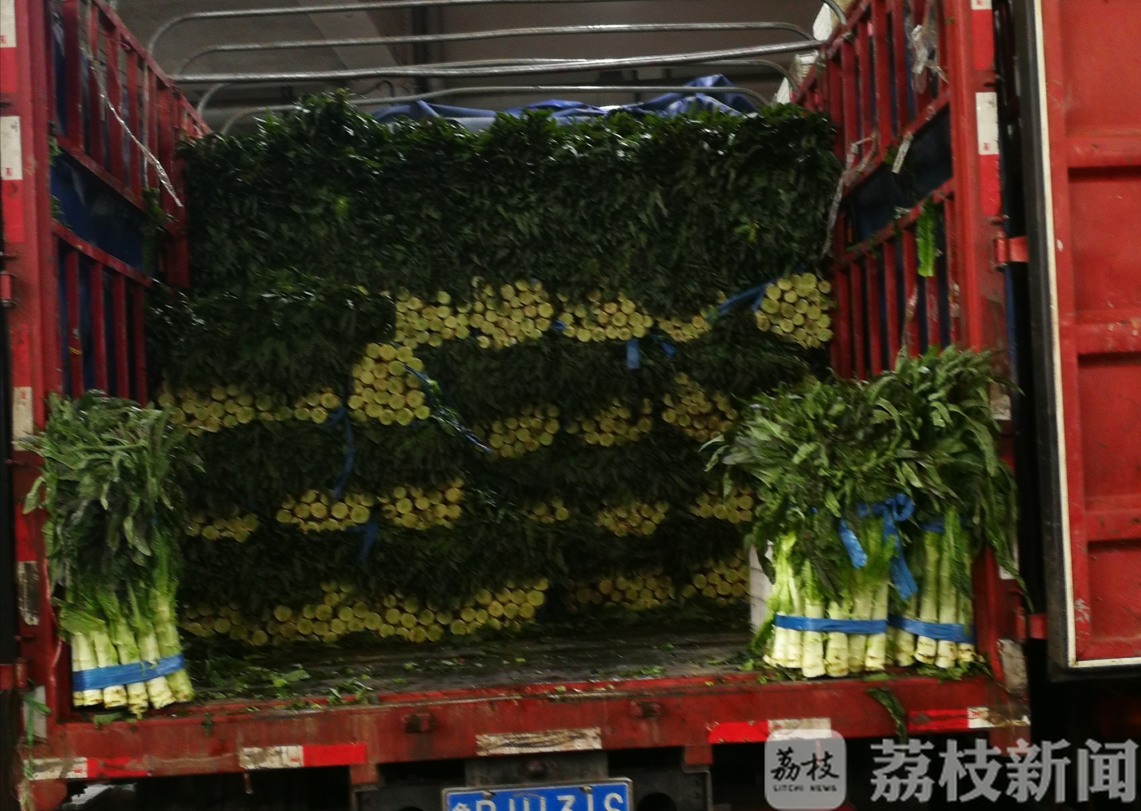 蔬菜■记者探访：一棵蔬菜从田间到餐桌需要经过几道“关卡”？