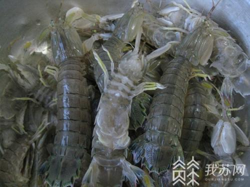 #食品# 涉及水产制品、饮料等 省市场监管局发布不合格食品抽查通告