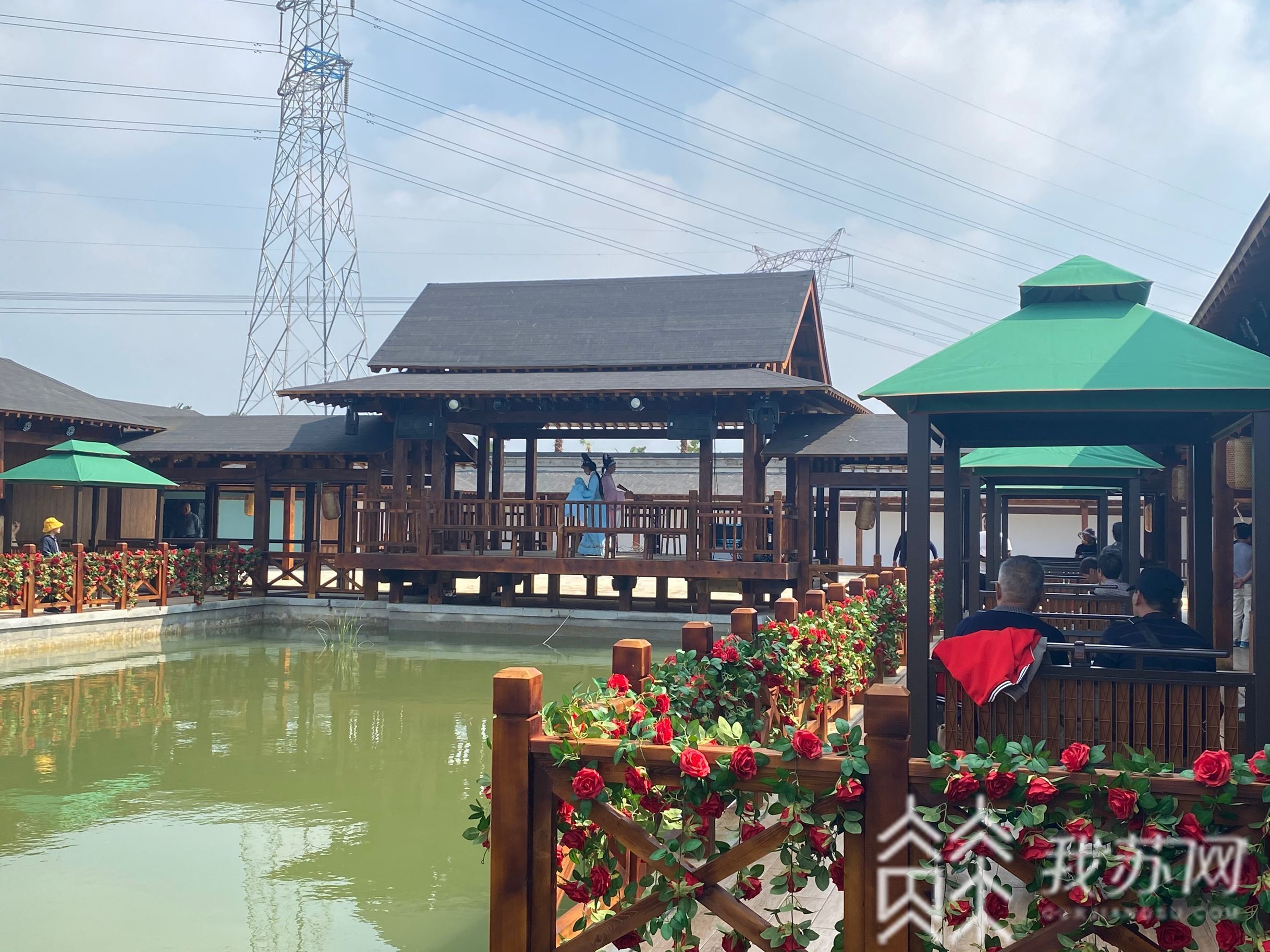 花开：南京溧水阡陌花开等你打卡! 马术表演、花车巡游、“萌宠”互动