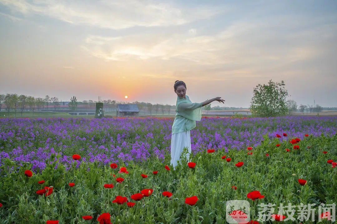 「不负」江苏“五一”旅游市场交出“复苏”答卷 不负春光