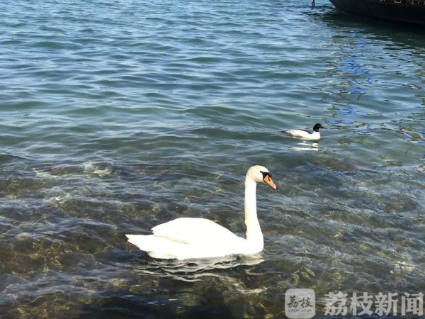 冬季去哪里泡汤、避寒？ 性价比高的目的地在这里