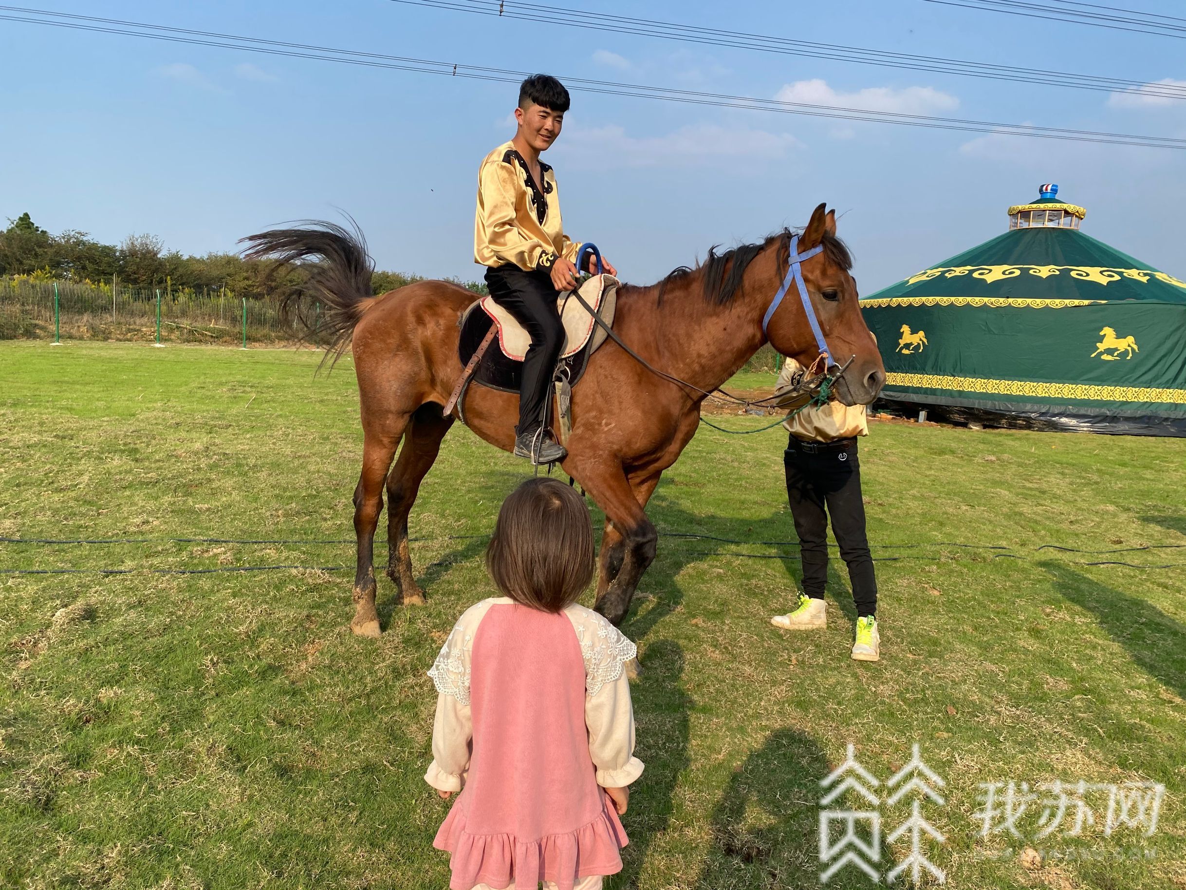 花开：南京溧水阡陌花开等你打卡! 马术表演、花车巡游、“萌宠”互动