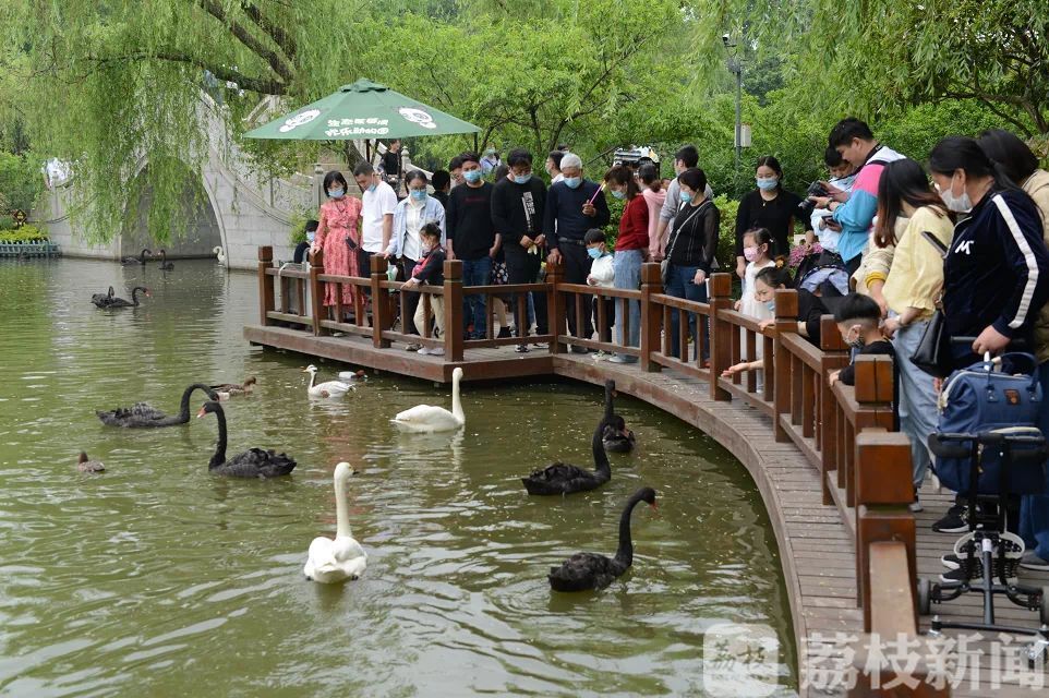 「不负」江苏“五一”旅游市场交出“复苏”答卷 不负春光