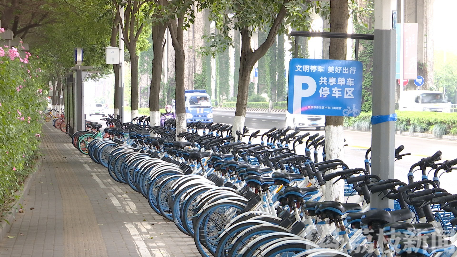 「」南京试点立牌组团治理 应对共享单车潮汐式扎堆