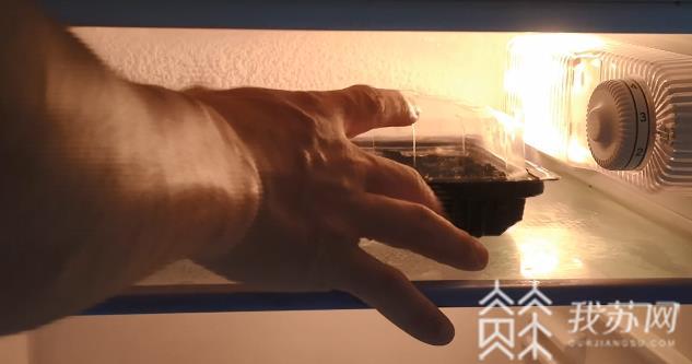 「西瓜」2岁宝宝被送进急救室 吃了几块冰西瓜