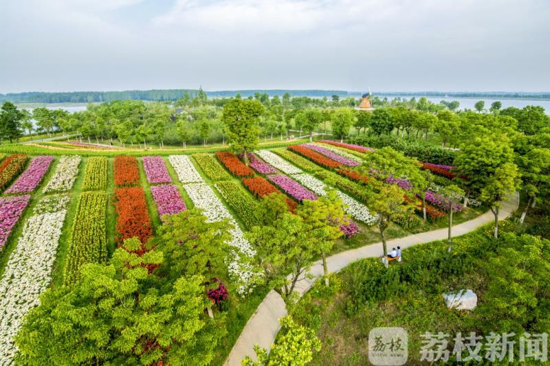 花卉■第八届东海花卉博览会5月30日开幕