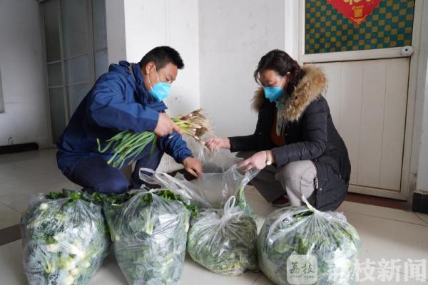 2万公斤蔬菜卖不出去，村书记带头做“微商”