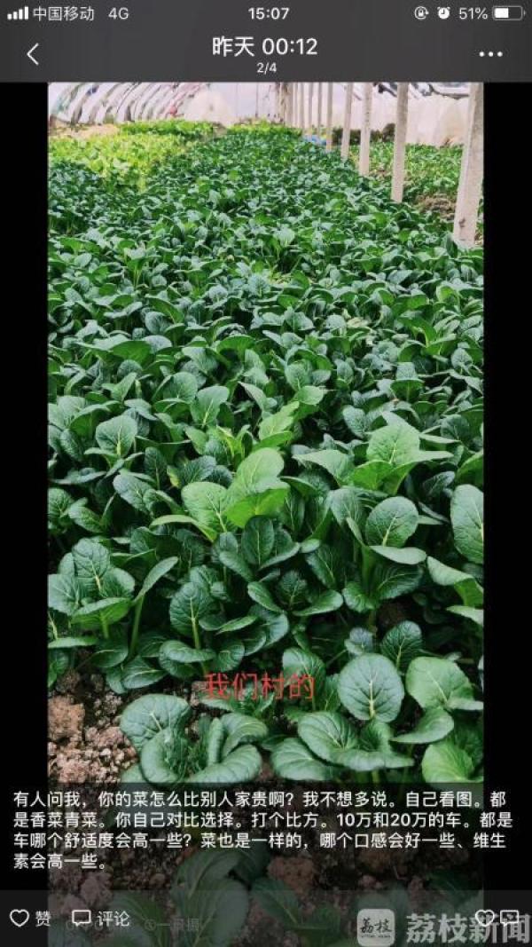 2万公斤蔬菜卖不出去，村书记带头做“微商”