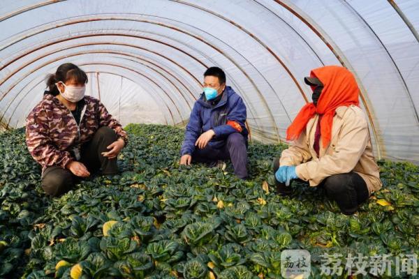 2万公斤蔬菜卖不出去，村书记带头做“微商”