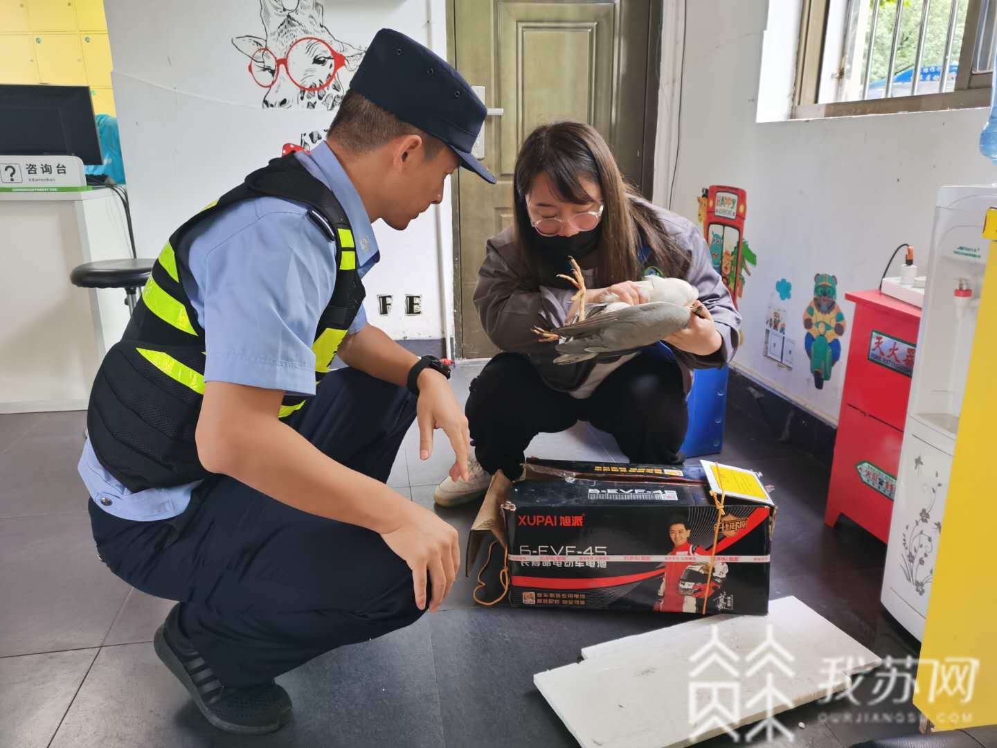 「动物」市民发现“鸟”被缚后报警 保护动物意识提高