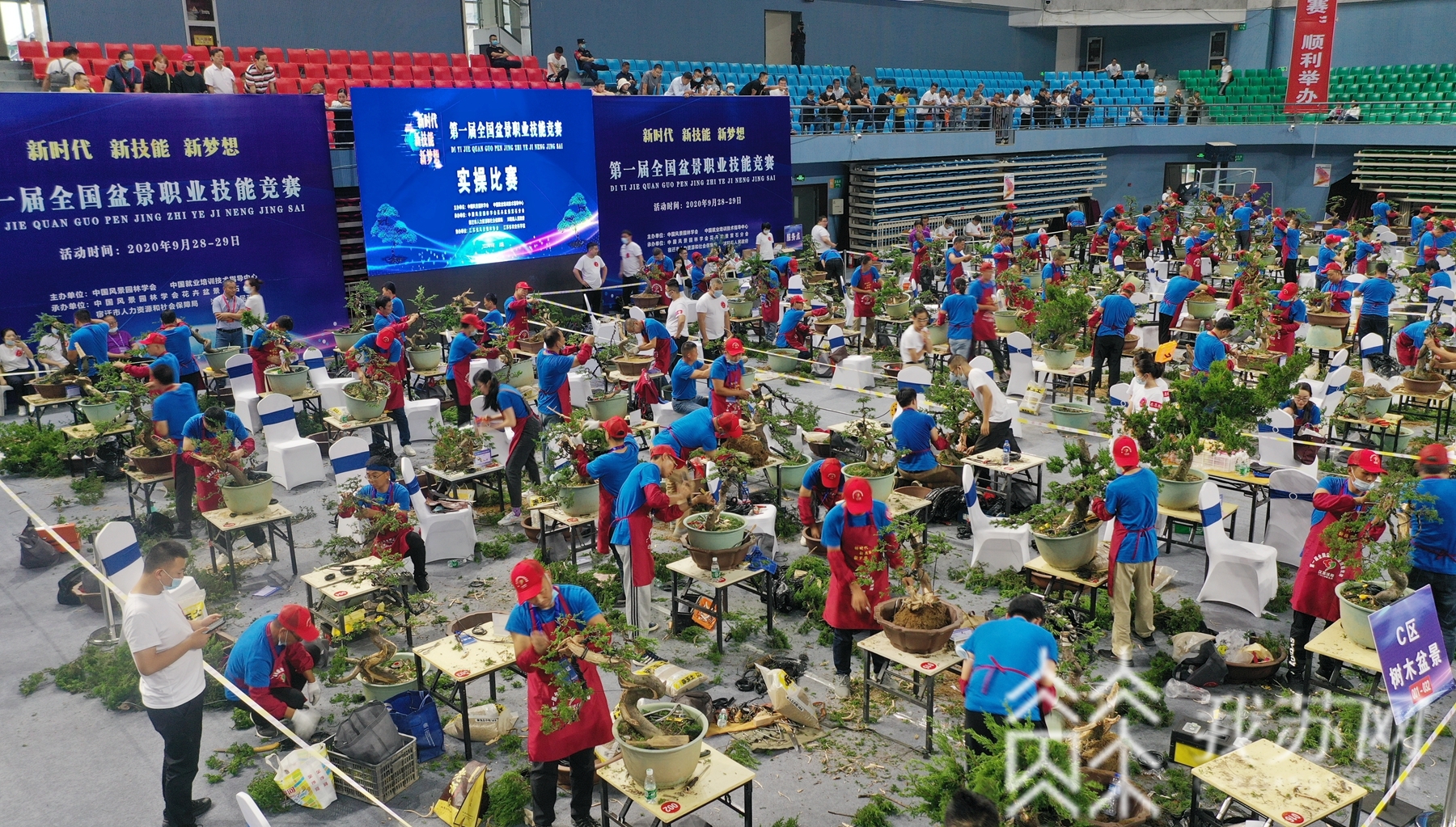 盆景■25支队伍同场竞技！首届全国盆景职业技能竞赛在沭阳开赛