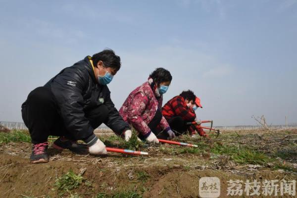 防疫春耕两不误 宿豫农民复产忙