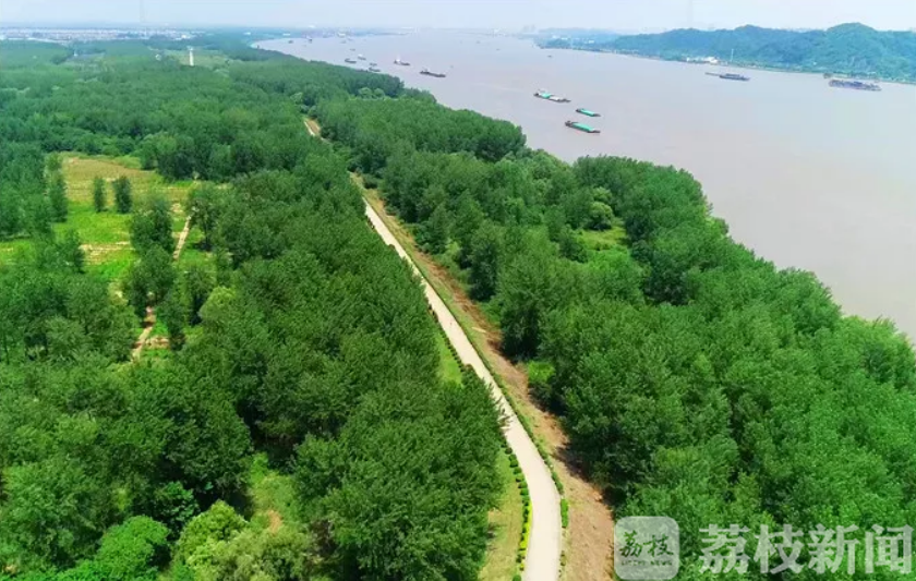 建设■绿化让生活更美好——2020年南京将造林1.8万亩，建设绿道120公里
