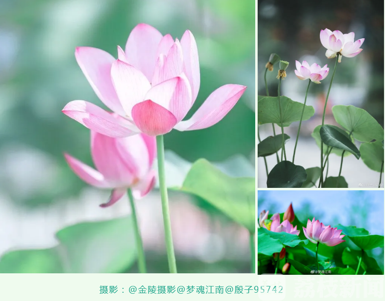降水■今起梅姑娘小试牛刀，12日起江苏将迎强降水