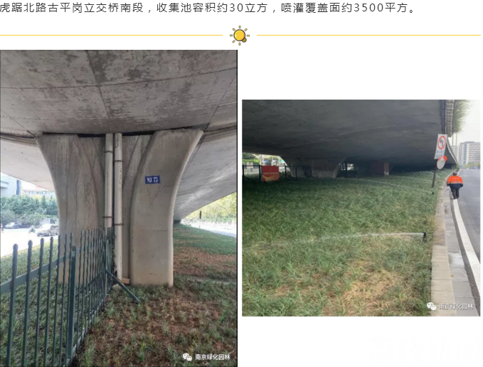 ##高架桥雨水还可以这样用 收集雨水浇灌植被