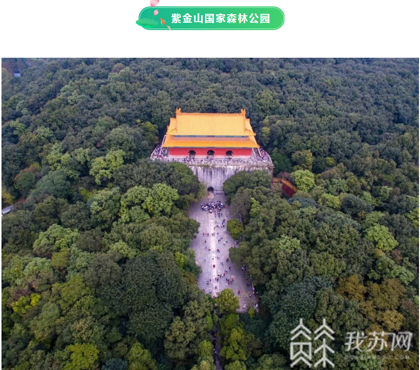森林公园■@南京市民：大暑今至，去森林公园寻觅夏日清凉吧