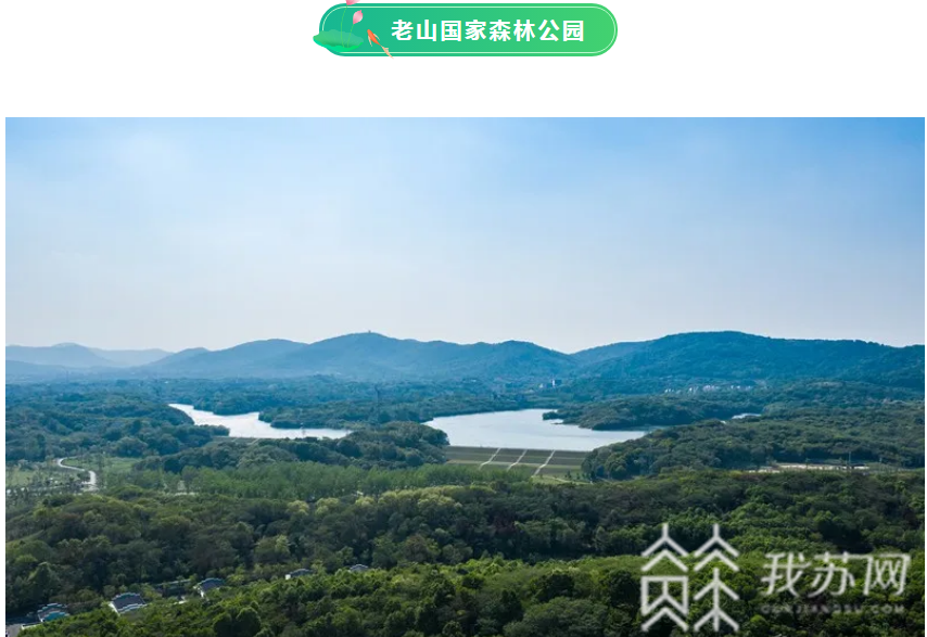 森林公园■@南京市民：大暑今至，去森林公园寻觅夏日清凉吧