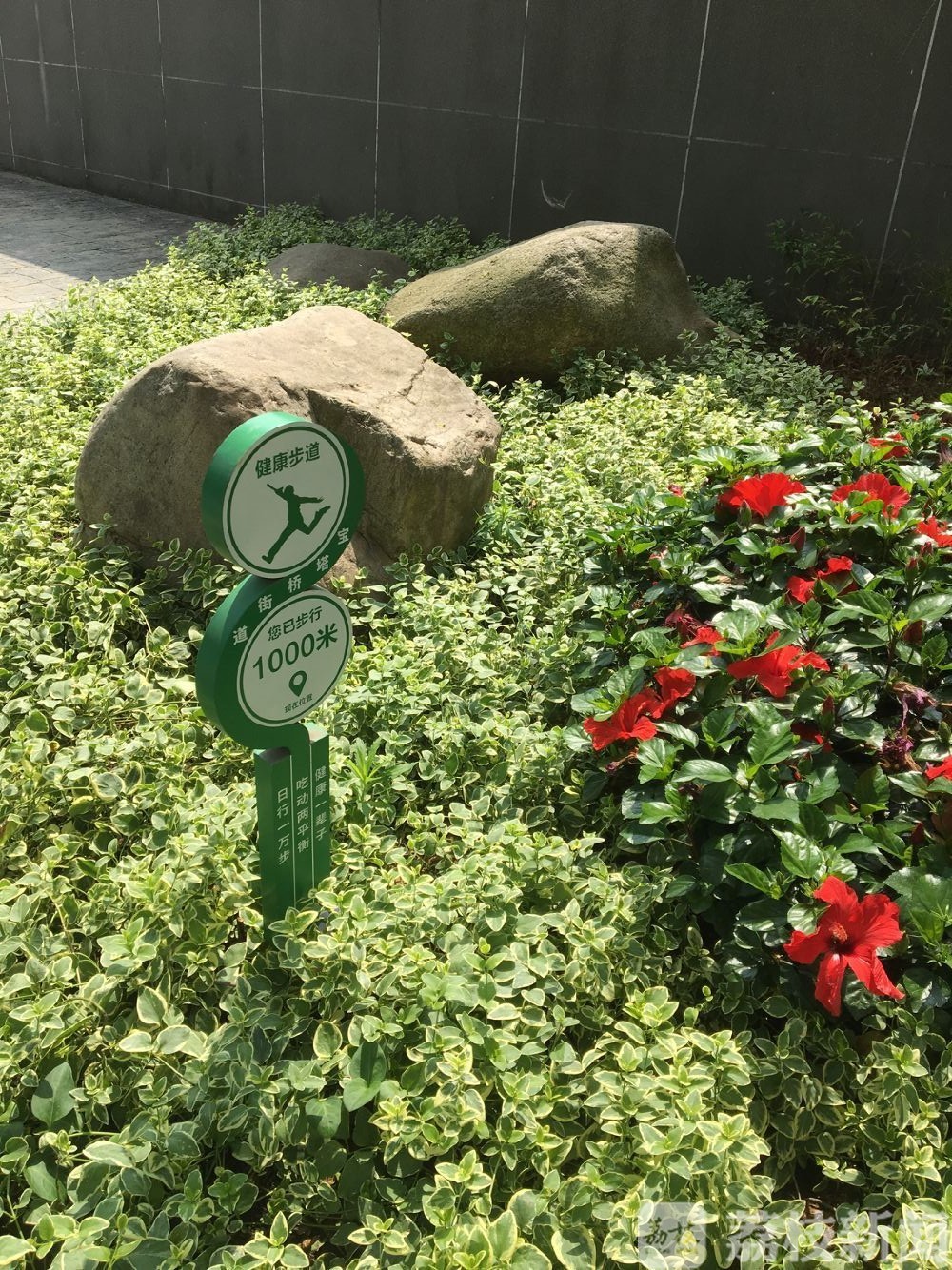 景观■观江景、赏绿植、游精致江滩，南京鼓楼滨江带景观提升出新