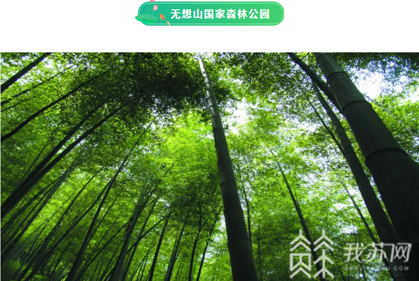 森林公园■@南京市民：大暑今至，去森林公园寻觅夏日清凉吧