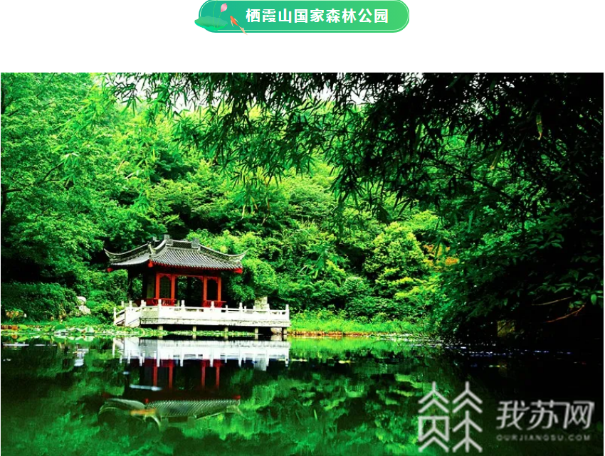 森林公园■@南京市民：大暑今至，去森林公园寻觅夏日清凉吧