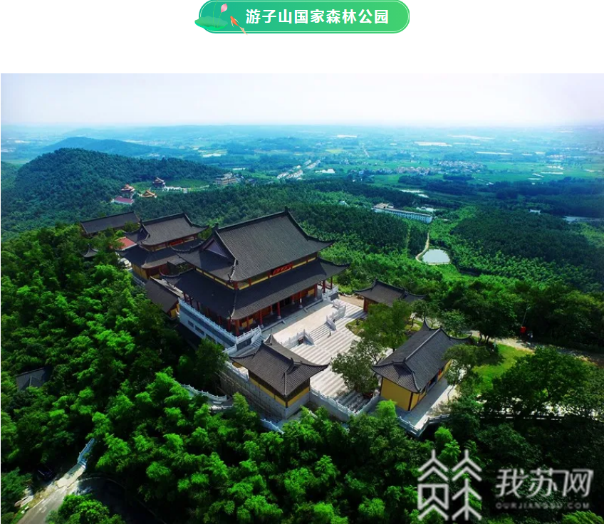 森林公园■@南京市民：大暑今至，去森林公园寻觅夏日清凉吧