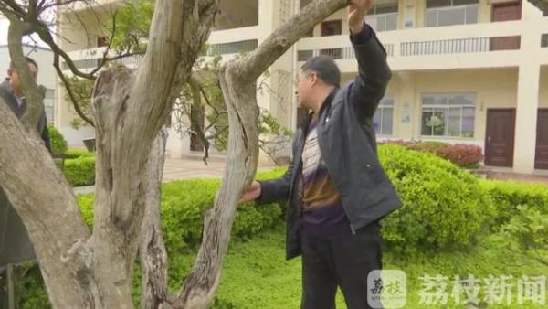 是为了保护木质部不再受雨水的侵蚀
