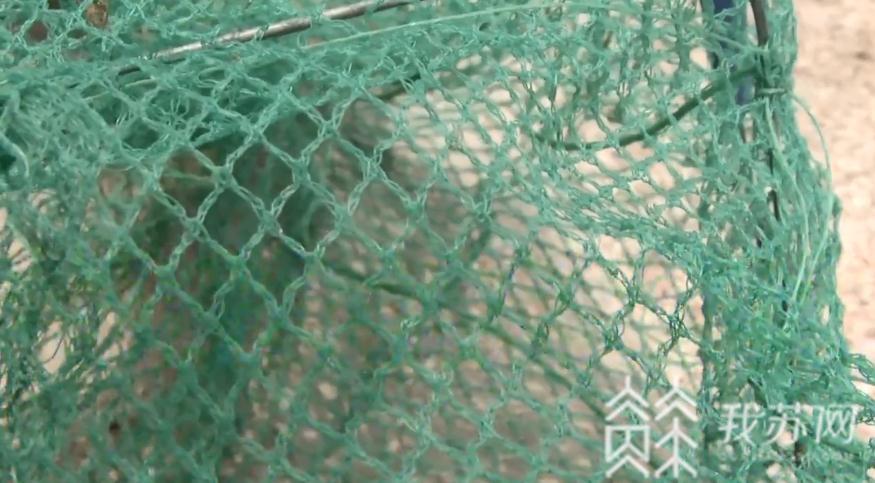 【】扬州这对夫妻双双被立案调查 长江捕捞小鱼小虾