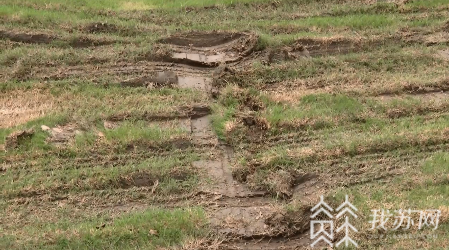 「绿化带」太仓开出当地最大罚单 绿化带任性违停