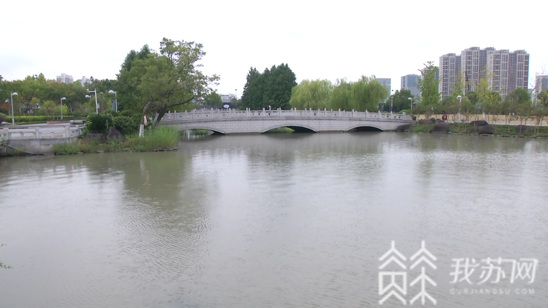 天镜■苏州太仓天镜湖惊现“大蛇”状神秘黑影？！记者实地探访