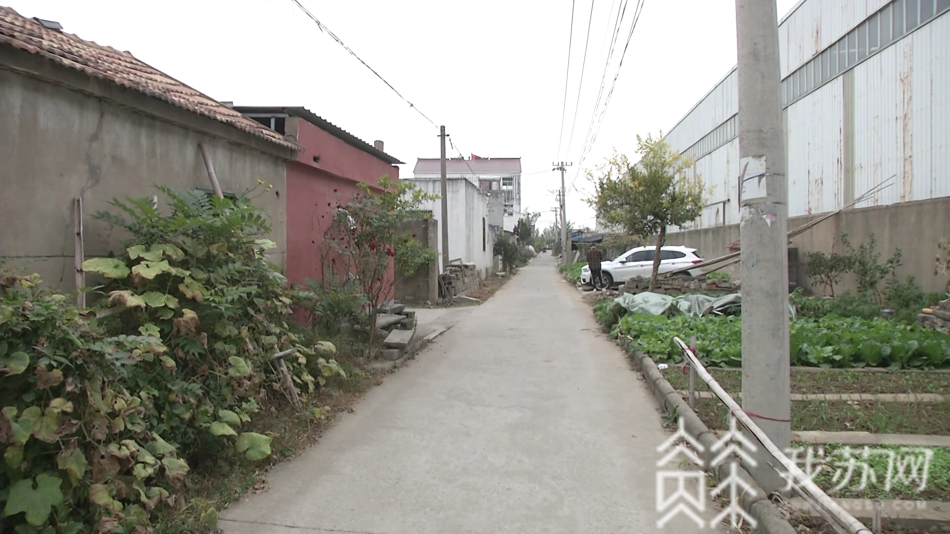 车子■记者调查：百辆豪车为何集体在灌云失踪？|解忧帮