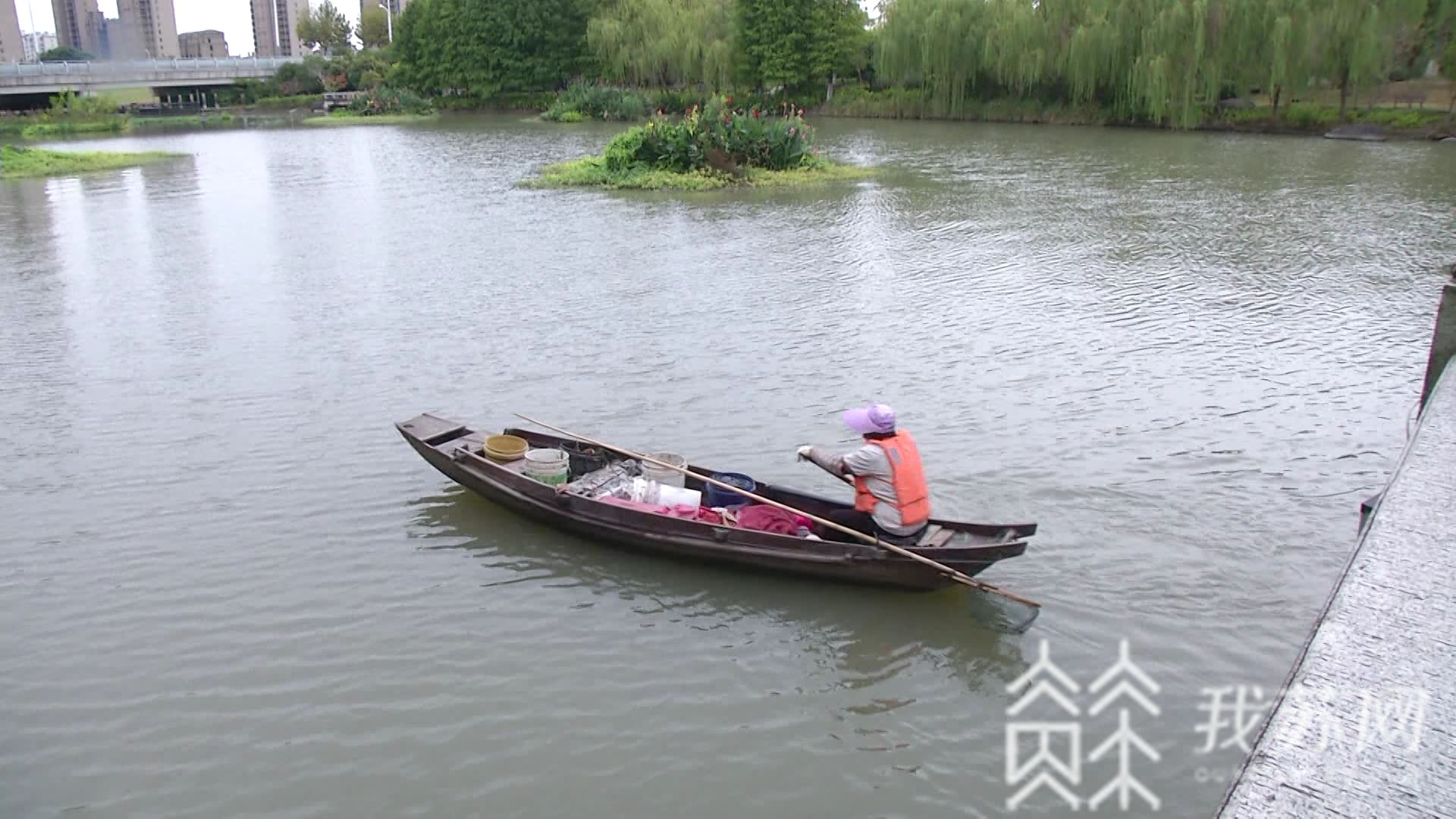天镜■苏州太仓天镜湖惊现“大蛇”状神秘黑影？！记者实地探访