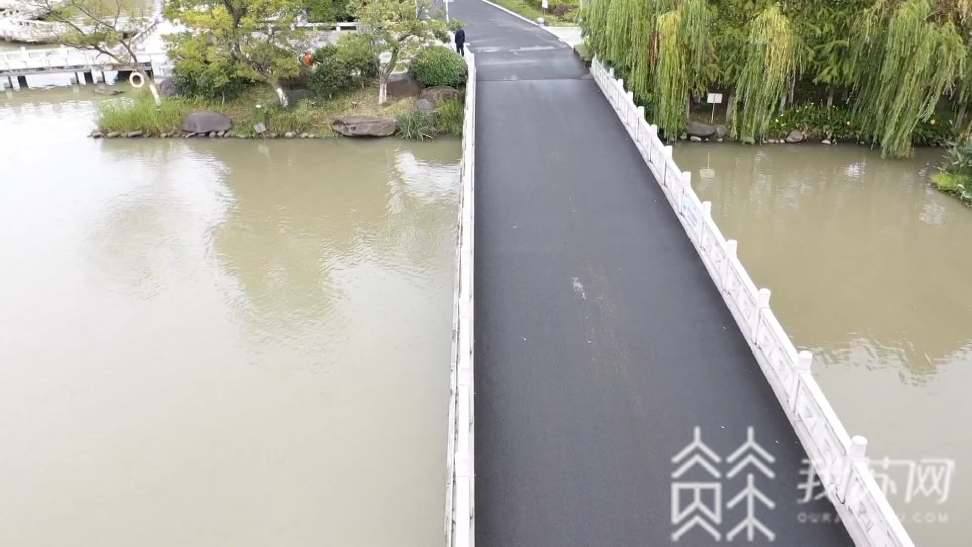 天镜■苏州太仓天镜湖惊现“大蛇”状神秘黑影？！记者实地探访