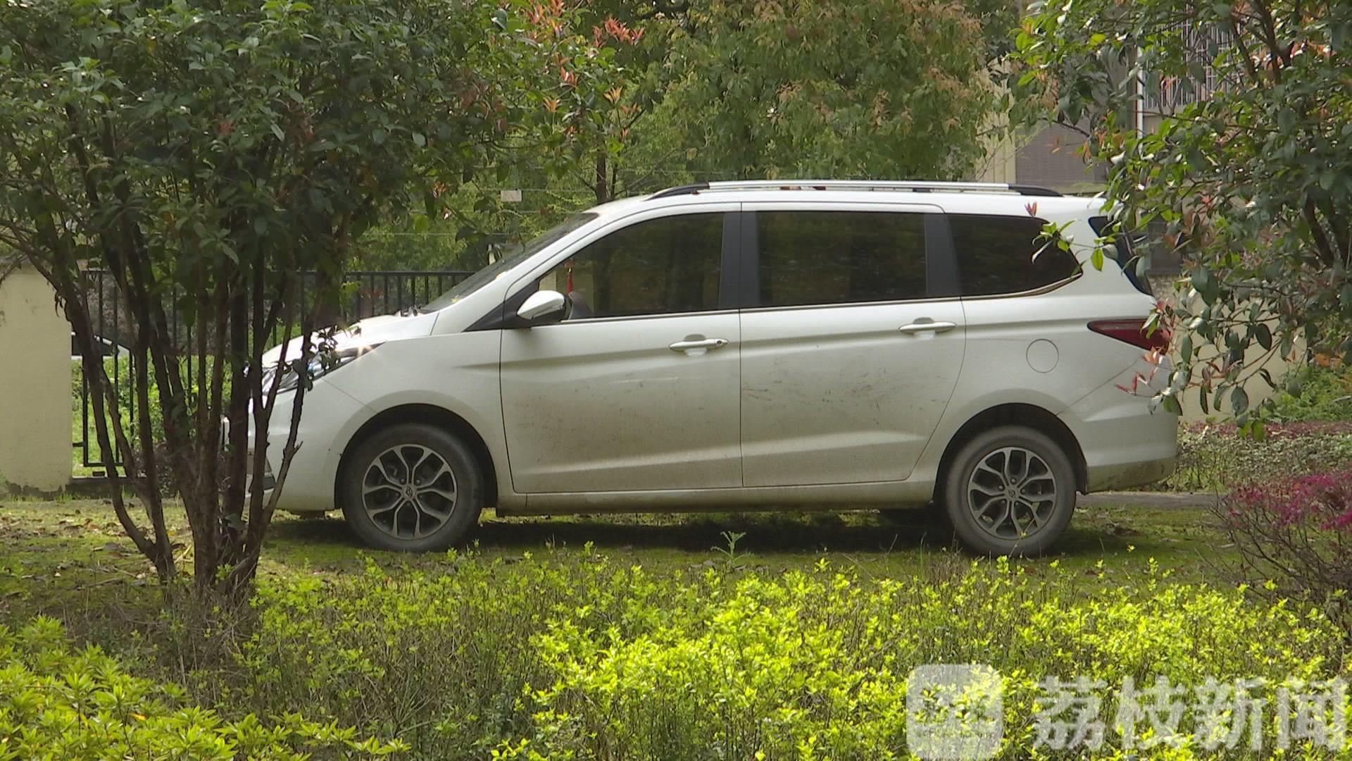 #绿化带#绿化带遭了殃 为图方便私家车随意停路边