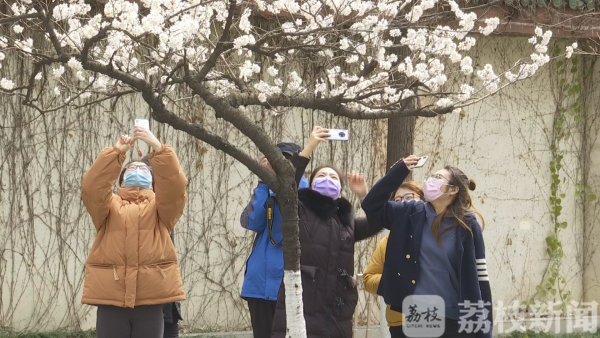 鸡鸣寺、玄武湖花都开了，战“疫”胜利后共赏绚烂春色吧！