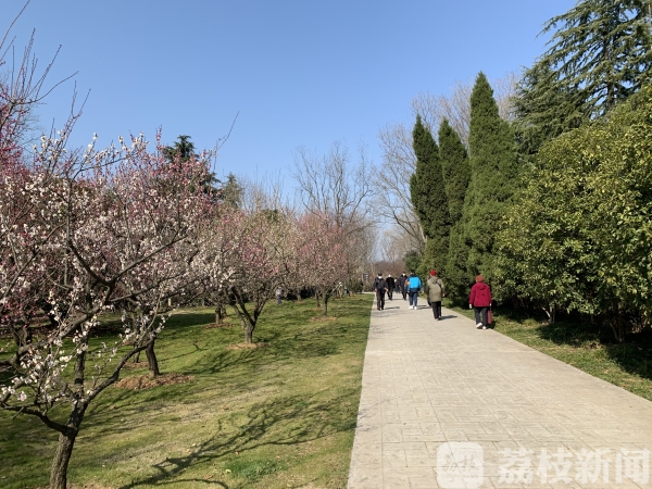 钟山风景区实行有序有限开放 科技手段辅助监测