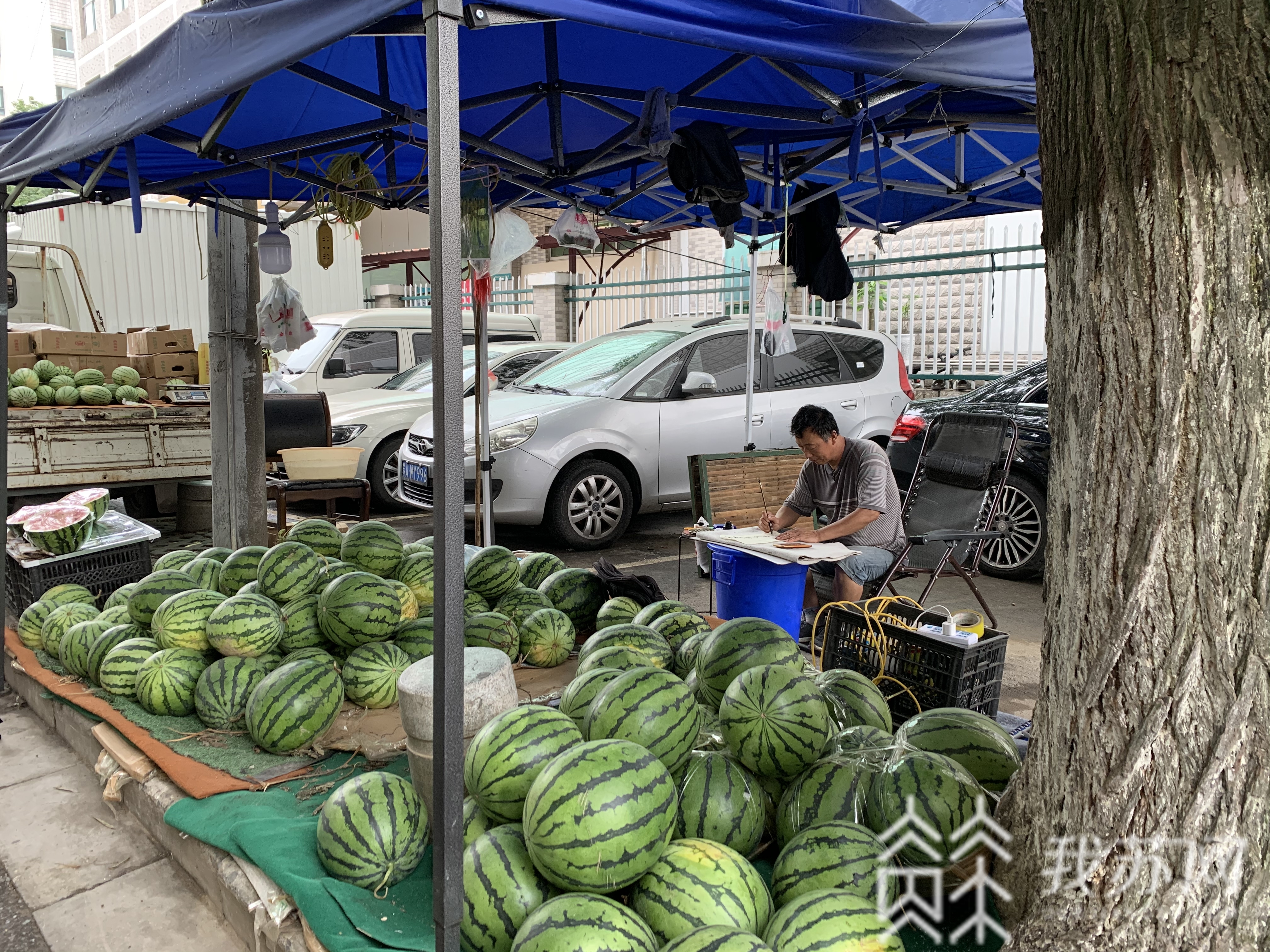 西瓜■有梦想谁都了不起！西瓜摊主里的“书法家”，曾获全国大赛一等奖